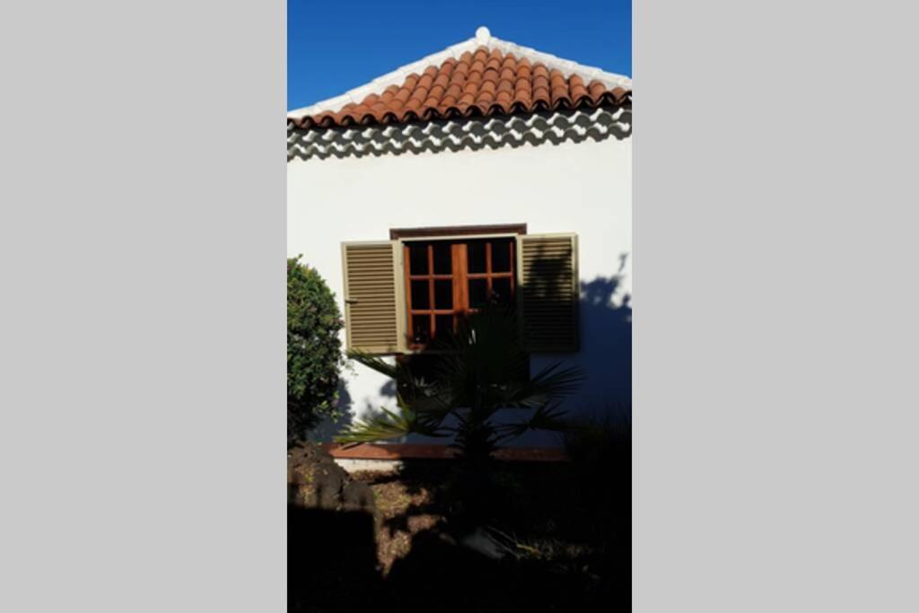 Villa La Paz Puerto de la Cruz  Eksteriør billede