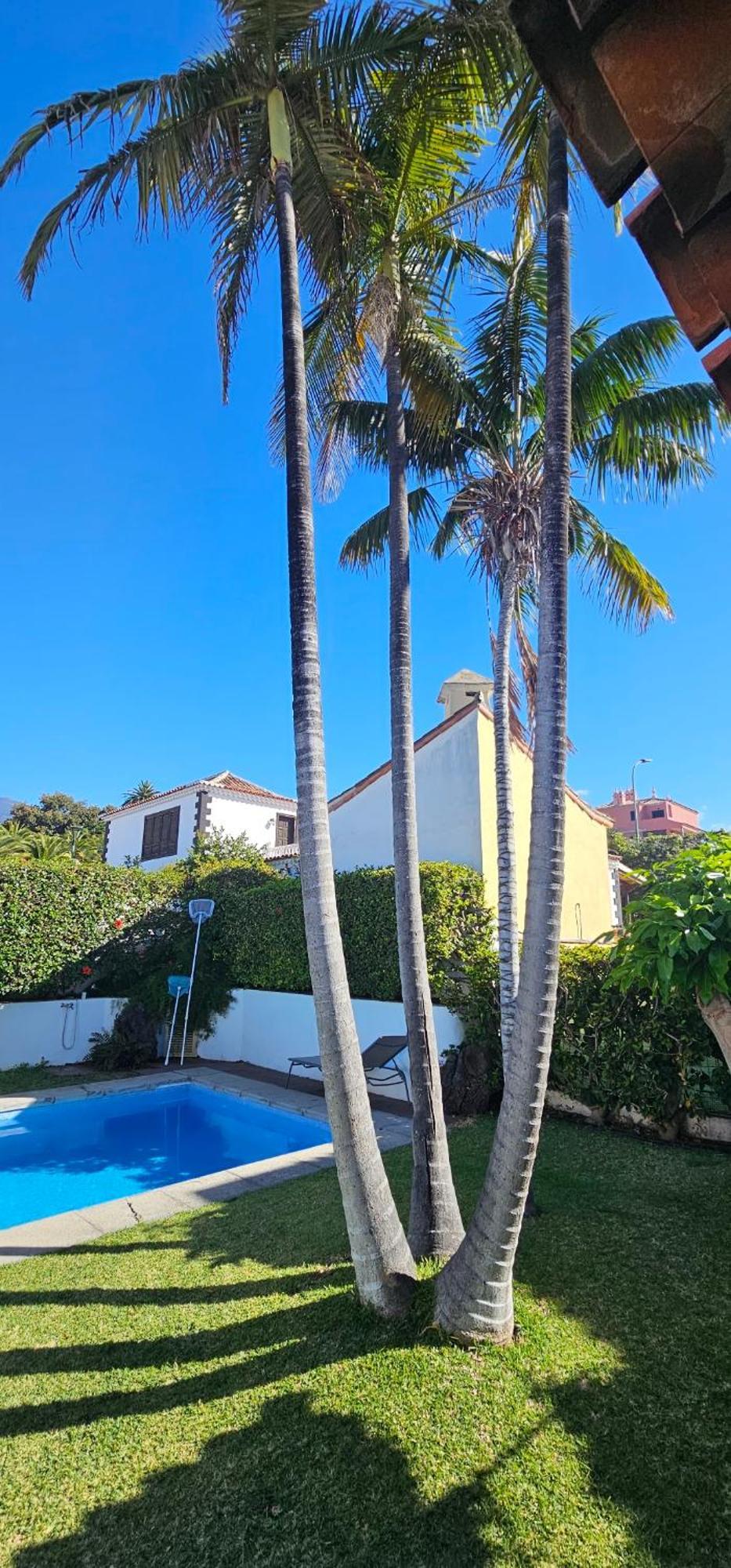 Villa La Paz Puerto de la Cruz  Eksteriør billede